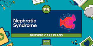 Nephrotic syndrome is a clinical disorder characterized by marked increase of protein in the urine (proteinuria), decrease in albumin in the blood (hypoalbuminemia), edema, and excess lipids in the blood (hyperlipidemia). 5 Nephrotic Syndrome Nursing Care Plans Nurseslabs