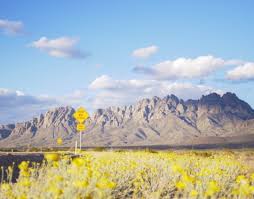Maybe you would like to learn more about one of these? Moving To Las Cruces Things To Do In Las Cruces Today