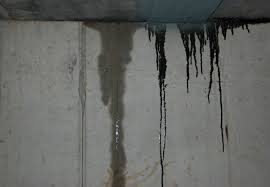 Thank you for visiting our website. Waterproofing Basement Walls 8 Dos And Don Ts Bob Vila