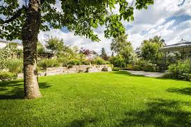 Finde fotos von garten bäume. Baume Pflanzen Baumpflege Und Garten Grimm Fur Garten Naturpools Und Landschaftsbau