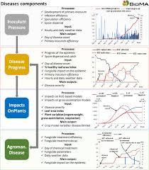 Differentiate between serious and not so serious. Modelling The Impacts Of Pests And Diseases On Agricultural Systems Sciencedirect