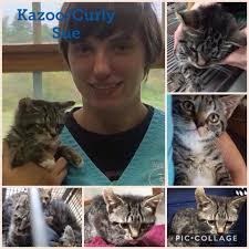 My darling Freedom is entering her last few days before the 🌈  bridge...beyond heartbroken 💔😢 that I can't make her better but I guess  17 years is better than I'd hoped for