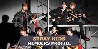 Stray Kids Members Profile Stray Kids Ideal Type And 10 Facts You Should Know About Stray Stray kids (스트레이 키즈) is a boy group consists of bang chan, lee know, changbin, hyunjin, han, felix, seungmin and i.n. stray kids members profile stray kids