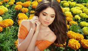 They are true annuals that come in a variety of sizes and colors, all with robust blooms. Benefits Of Marigold Flower For Beauty And Well Being