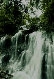 Sirimane falls is a famous tourist destination. Sirimane Waterfalls Western Ghats Chikmagalur Sringeri Water Falls