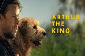 Arthur the King: A movie about a dog, determination, and one last shot at  glory