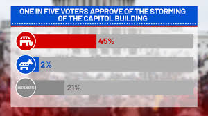 Poll One Fifth Of Voters Almost Half Of Republicans Agree With Storming Of Us Capitol Austrian analyst patrick poppel assesses the situation in the us as very since the capitol and the flag and constitution have a special status for americans, the line has been crossed. poll one fifth of voters almost half