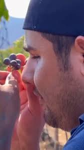 ⛪Entre viñedos y montañas se encuentra la Capilla de Nuestra Señora de los  Milagros✨ Somos expertos en hacer que tu boda sea espectacular. Nuestros  especialistas cuidarán cada detalle, para que tus invitados