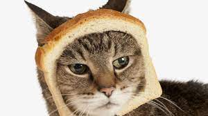 Your meme was successfully uploaded and it is now in moderation. Meme Die Grossten Viral Hits Auto Und Technik Gq