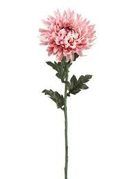 Cushion mums are a medium sized mum, with each stem sporting multiple blooms ranging in size from 1 to 3.5 inches in diameter, on average. Chrysanthemum Silk Flower Stem In Mauve Pink Br 7 Bloom X 24 Tall Chrysanthemum Flower Tattoo Birth Flower Tattoos Mums Flowers
