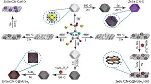 Main item / product no. Sandwich Structures Constructed By Znse N C Mose2 Located In Graphene For Efficient Sodium Storage Shi 2020 Advanced Energy Materials Wiley Online Library