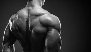 Bodybuilding wallpapers, backgrounds, images 1920x1080— best bodybuilding desktop wallpaper sort wallpapers by: Bodybuilder Muscle Mass Back Muscles 5k Wallpaper Hdwallpaper Desktop Back Muscles Fitness Blog Bodybuilding