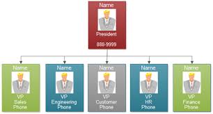 Functional Organizational Chart