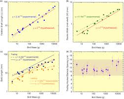 Cross section of the tibiotarsus of a laying hen (pas): Extreme Lightweight Structures Avian Feathers And Bones Sciencedirect