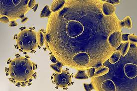 While the disease is uncommon in temperate climates, malaria is still common in tropical and subtropical countries. Trump Touts Malaria Drug That Fda Says Isn T Approved For Virus World The Jakarta Post
