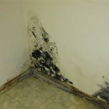 Rutubet Onleyici Ve Giderici Boya Ile Nem Sorunu Cozumu 0555 399 96 13