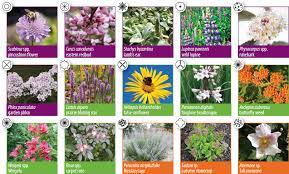 Check spelling or type a new query. Pollinator Gardens City Of Guelph