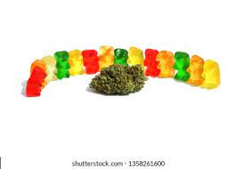 where can you buy jolly cbd gummies