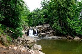 The trail is primarily used for hiking, walking, and running. Scott S Run Nature Preserve