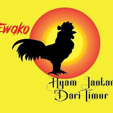 Ayam Jantan Dari Timur Ayam Jantan Pantang Menyerah