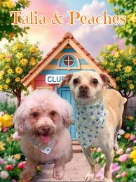 Lucky Puppy Grooming has been voted Tri Cities Best Pet Groomer 2024 Bronze  Winner. From all of us at Lucky Puppy Grooming, a BIG Thank You for this  honor. 🍀