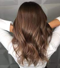 Chestnut Brown Hair Chestnut Hair Chestnut Hair Color Natural Brown Hair