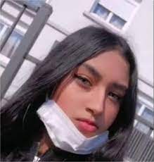 C'est sa compagne, elle aussi fonctionnaire de police, qui a fait la macabre découverte et prévenu les secours. Val D Oise Mort D Alisha A Argenteuil Harcelement Et Rivalite Amoureuse Les Premieres Pistes Des Enqueteurs La Gazette Du Val D Oise