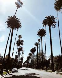 Represents men and women for runway and editorial assignments from los angeles office. Mein Usa Roadtrip Los Angeles Veronique Sophie