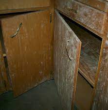 Steps to add crown molding to your kitchen cabinets. Aspergillus Mold On Kitchen Cabinets Bethany Ok Converge Inspections
