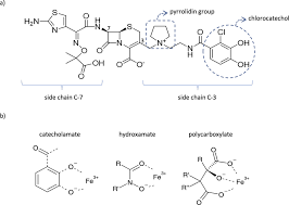 Image result for Cefiderocol