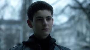 Gotham: Gordon Reprimands Bruce & Alfred