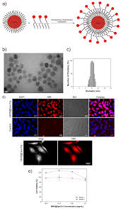 Applied Sciences Free Full Text Recent Progress In Synthesis And Functionalization Of Multimodal Fluorescent Magnetic Nanoparticles For Biological Applications Html