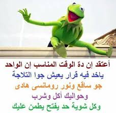 احلي عيشه ههههههههههههههه funny arabic quotes funny profile arabic funny