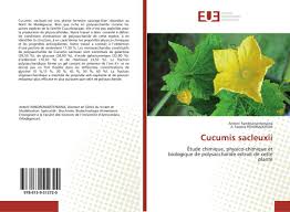 Image result for Cucumis sacleuxii