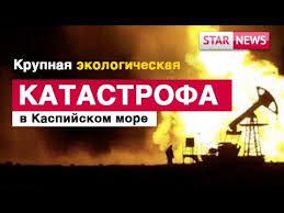 Ekologicheskaya Katastrofa V Kaspijskom More Novosti Kazahstan 2019 Youtube