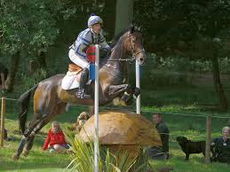 He has competed in eight olympic games, which is an australian record; File Andrew Hoy Master Monarch Coutts Curve Burghley 2007 Jpg Wikimedia Commons