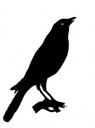 Black And White Ravens Clipart Copyright Free Clipart For Commercial Use Copyrightfreeclipartforcommercialuse Check More At Http Thebetterbeauty Silhouette Art Free Clip Art Raven Images