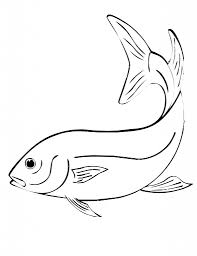 Dogs love to chew on bones, run and fetch balls, and find more time to play! Free Printable Fish Coloring Pages For Kids Fish Coloring Page Fish Sketch Fish Drawings