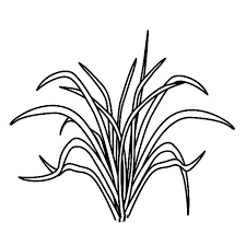 Feel free to print and color from the best 38+ grass coloring page at getcolorings.com. Picture Of Grass Coloring Pages Color Luna Coloring Pages Grass Drawing Color