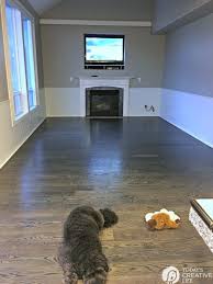 Eco Friendly Hardwood Floor Finish For High Traffic Floor Finishes Wood Floor Finishes Red Oak Wood Floors
