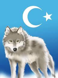 Çin halk cumhuriyeti'in sincan uygur özerk bölgesi'nde bu bayrağı kullanmak yasaktır. Adaletin Bu Mu Dunya Cin De Uygur Turkleri Var Dogu Turkistan Gok Bayrak Kendi Oz Yurtlarinda Cin Zulmu Altinda Inlemek Arkaplan Tasarimlari Turkler Bayrak