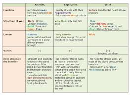 Pin On Pathophysiology
