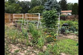 These diy trellis ideas will help you revamp your garden in a jiff. Get Growing Building Your Own Trellis The Longmont Leader
