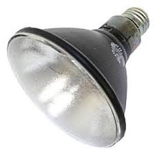 Sylvania 68843 H44gs 100sp Mercury Vapor Black Light By Sylvania 38 25 100 Watt Par38 Ad Medium Base 5 900k General Lighti Sylvania Black Light Light Bulb