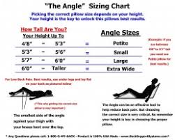 The Angle System 3 Piece Guaranteed To Help Reduce Back Pain