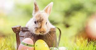 Le vacanze pasquali iniziano giovedì 1 aprile e terminano martedì 6 aprile 2021. Buona Pasqua 2021 I 60 Auguri Piu Belli Con Immagini