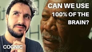 Everything You Need to Know About Cat Brains!