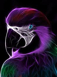 If you do not find the exact resolution you are looking for, then go for a native or higher resolution. Neon Animal Wallpaper Posted By Zoey Walker