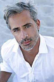 Pin By Mrs Leto On Pretty Silver Hair Grey Hair Men Grey Beards Mens Hairstyles