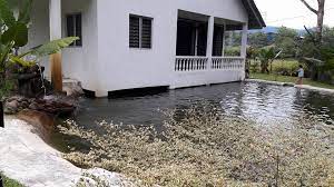 Featuring garden views, lovely homestay janda baik in bentong features accommodation, a restaurant, an outdoor swimming pool, a shared lounge, a. Kz At Jb Homestay Janda Baik Facebook